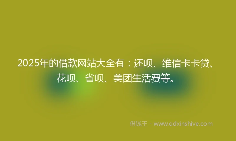 2025年的借款网站大全有：还呗、维信卡卡贷、花呗、省呗、美团生活费等。