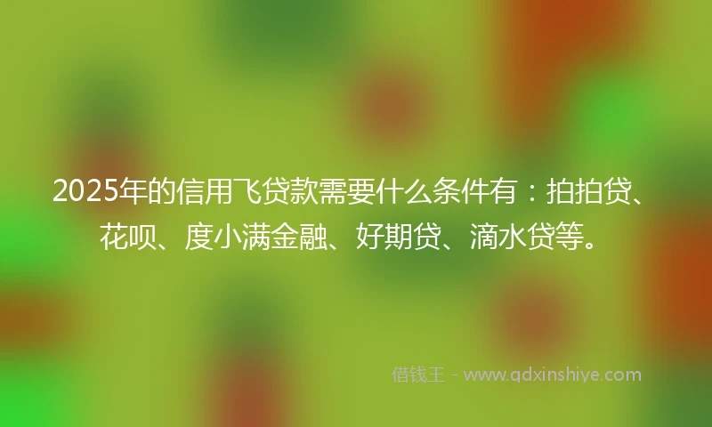2025年的信用飞贷款需要什么条件有：拍拍贷、花呗、度小满金融、好期贷、滴水贷等。
