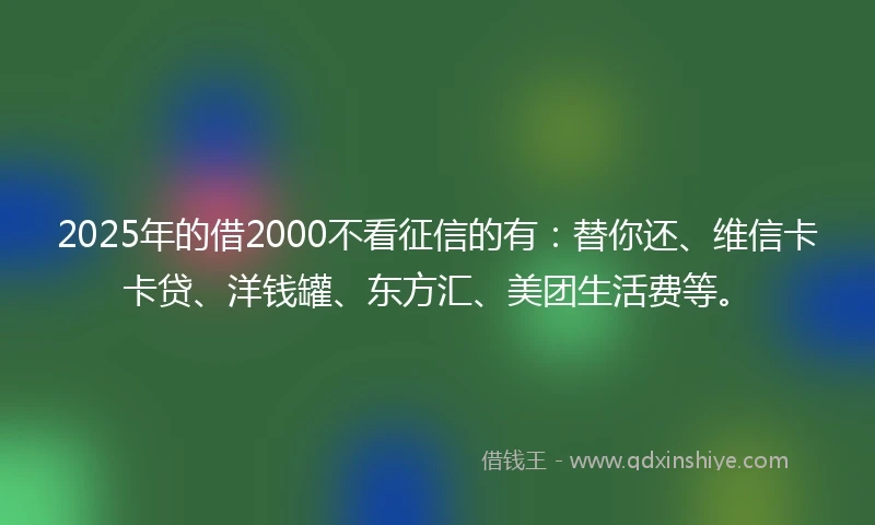 2025年的借2000不看征信的有：替你还、维信卡卡贷、洋钱罐、东方汇、美团生活费等。