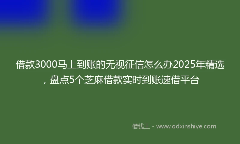 借款3000马上到账的无视征信怎么办2025年精选，盘点5个芝麻借款实时到账速借平台