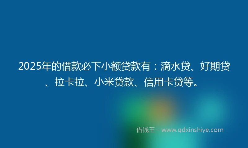 2025年的借款必下小额贷款有：滴水贷、好期贷、拉卡拉、小米贷款、信用卡贷等。