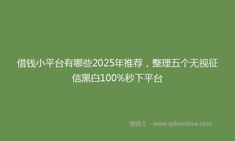 借钱小平台有哪些2025年推荐，整理五个无视征信黑白100%秒下平台