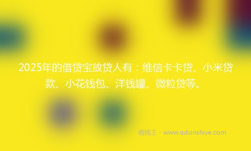 2025年的借贷宝放贷人有：维信卡卡贷、小米贷款、小花钱包、洋钱罐、微粒贷等。
