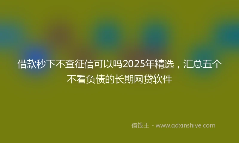 借款秒下不查征信可以吗2025年精选，汇总五个不看负债的长期网贷软件