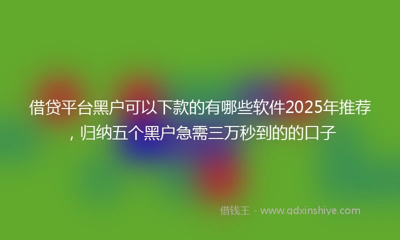 借贷平台黑户可以下款的有哪些软件2025年推荐，归纳五个黑户急需三万秒到的的口子