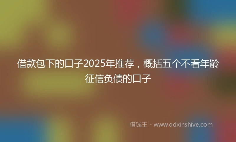 借款包下的口子2025年推荐，概括五个不看年龄征信负债的口子
