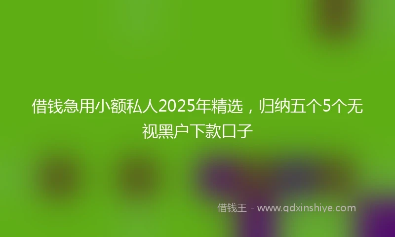 借钱急用小额私人2025年精选，归纳五个5个无视黑户下款口子