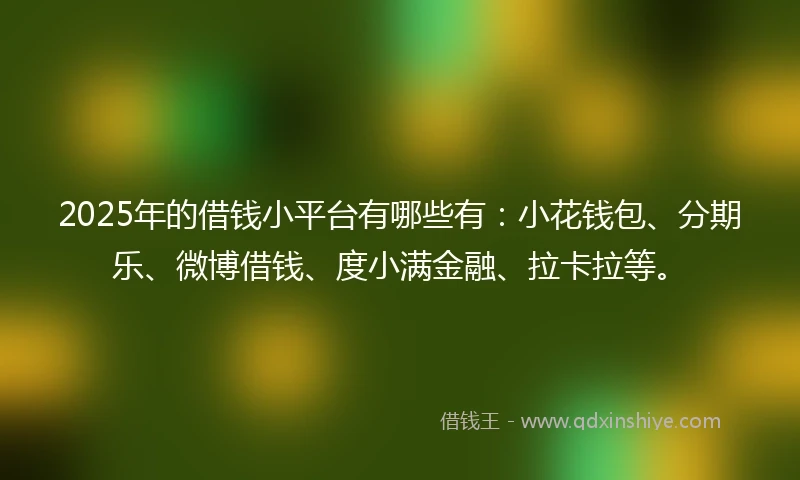 2025年的借钱小平台有哪些有：小花钱包、分期乐、微博借钱、度小满金融、拉卡拉等。