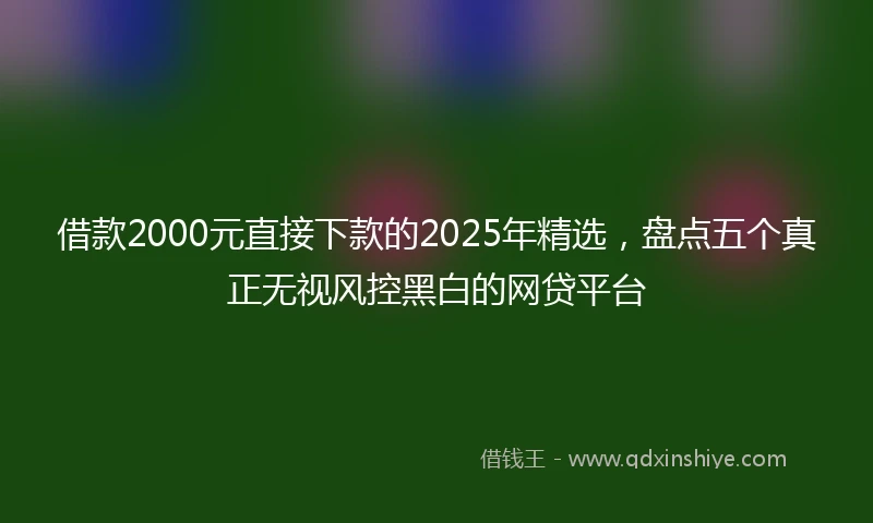 借款2000元直接下款的2025年精选，盘点五个真正无视风控黑白的网贷平台