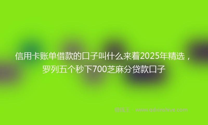 信用卡账单借款的口子叫什么来着2025年精选，罗列五个秒下700芝麻分贷款口子