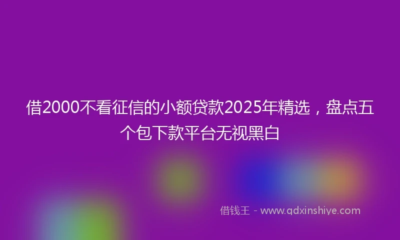 借2000不看征信的小额贷款2025年精选,盘点五个包下款平台无视黑白