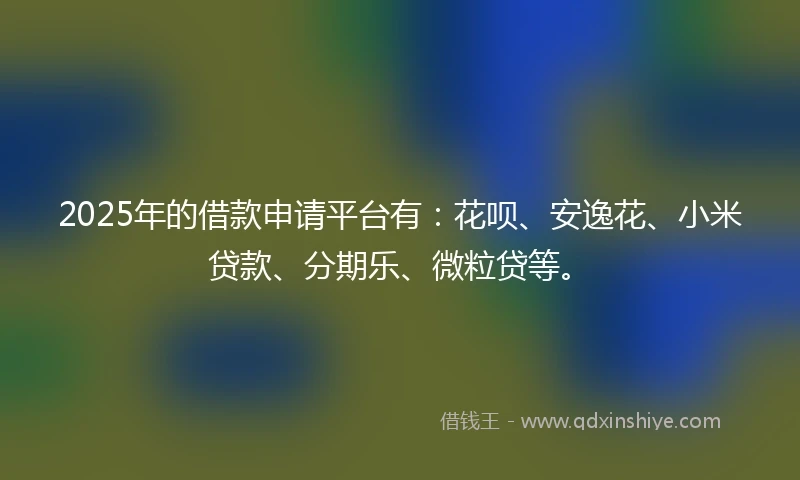 2025年的借款申请平台有：花呗、安逸花、小米贷款、分期乐、微粒贷等。