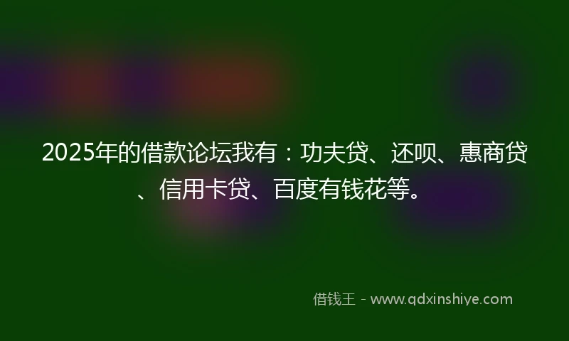 2025年的借款论坛我有：功夫贷、还呗、惠商贷、信用卡贷、百度有钱花等。