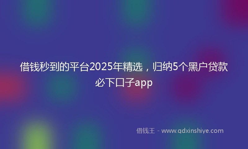 借钱秒到的平台2025年精选，归纳5个黑户贷款必下口子app