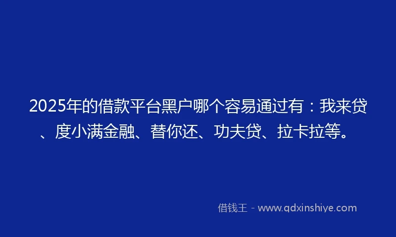 2025年的借款平台黑户哪个容易通过有：我来贷、度小满金融、替你还、功夫贷、拉卡拉等。