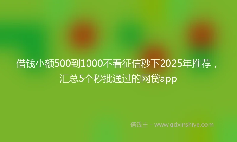 借钱小额500到1000不看征信秒下2025年推荐，汇总5个秒批通过的网贷app