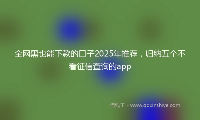 全网黑也能下款的口子2025年推荐，归纳五个不看征信查询的app
