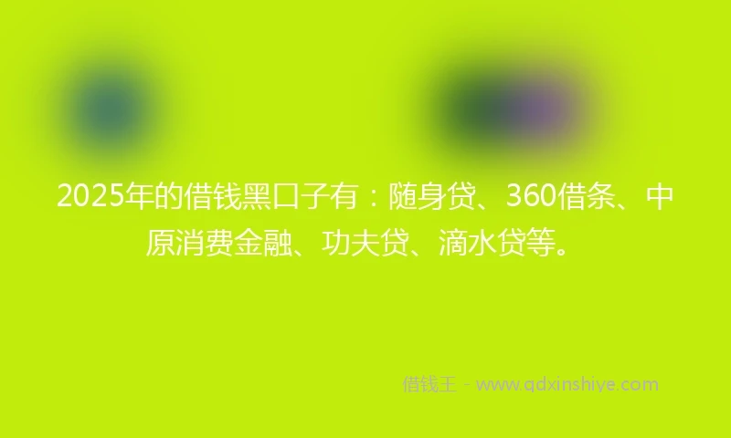 2025年的借钱黑口子有：随身贷、360借条、中原消费金融、功夫贷、滴水贷等。