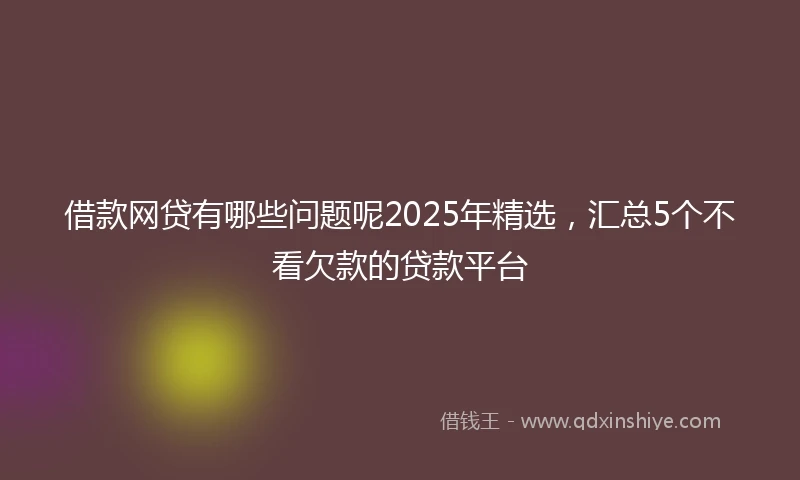 借款网贷有哪些问题呢2025年精选，汇总5个不看欠款的贷款平台