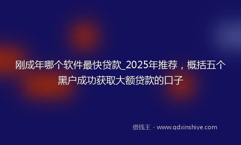 刚成年哪个软件最快贷款_2025年推荐，概括五个黑户成功获取大额贷款的口子