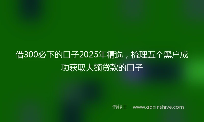 借300必下的口子2025年精选，梳理五个黑户成功获取大额贷款的口子