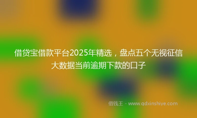 借贷宝借款平台2025年精选，盘点五个无视征信大数据当前逾期下款的口子