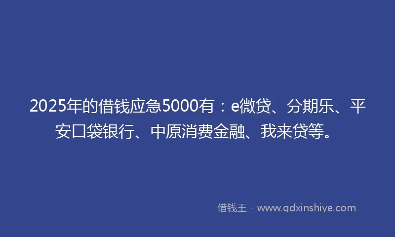 2025年的借钱应急5000有：e微贷、分期乐、平安口袋银行、中原消费金融、我来贷等。