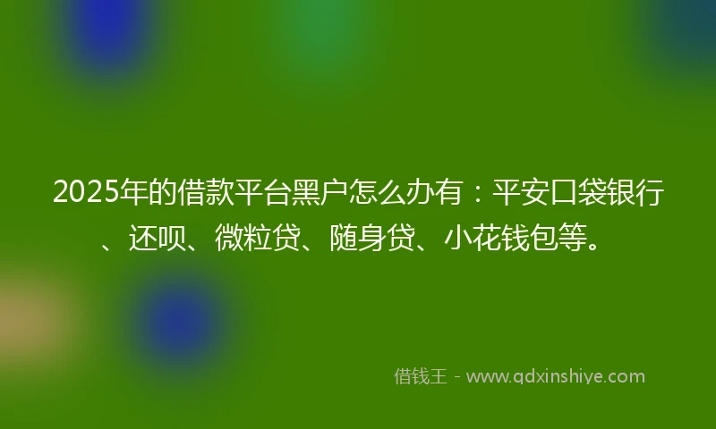 2025年的借款平台黑户怎么办有：平安口袋银行、还呗、微粒贷、随身贷、小花钱包等。