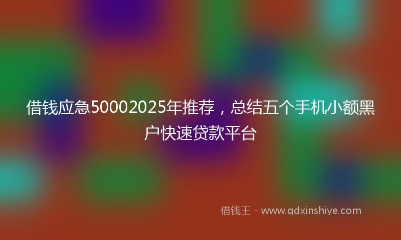借钱应急50002025年推荐，总结五个手机小额黑户快速贷款平台