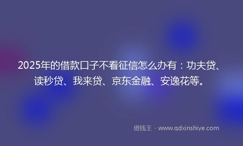 2025年的借款口子不看征信怎么办有：功夫贷、读秒贷、我来贷、京东金融、安逸花等。