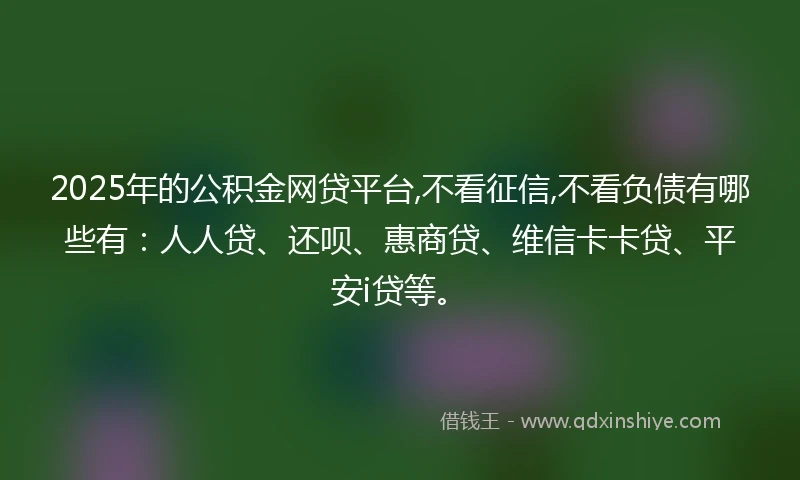 2025年的公积金网贷平台,不看征信,不看负债有哪些有：人人贷、还呗、惠商贷、维信卡卡贷、平安i贷等。