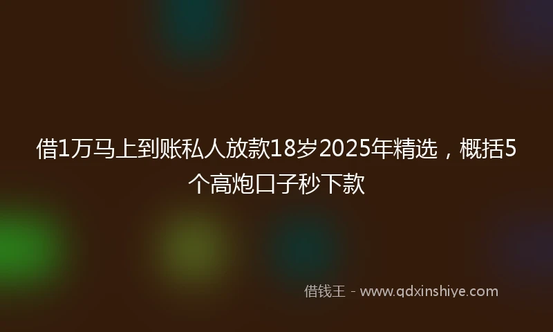 借1万马上到账私人放款18岁2025年精选，概括5个高炮口子秒下款