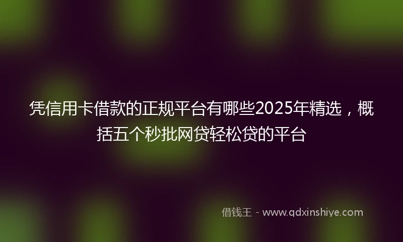 凭信用卡借款的正规平台有哪些2025年精选，概括五个秒批网贷轻松贷的平台