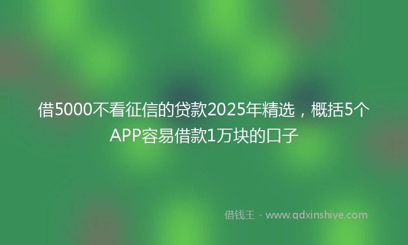 借5000不看征信的贷款2025年精选，概括5个APP容易借款1万块的口子