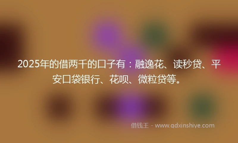 2025年的借两千的口子有：融逸花、读秒贷、平安口袋银行、花呗、微粒贷等。