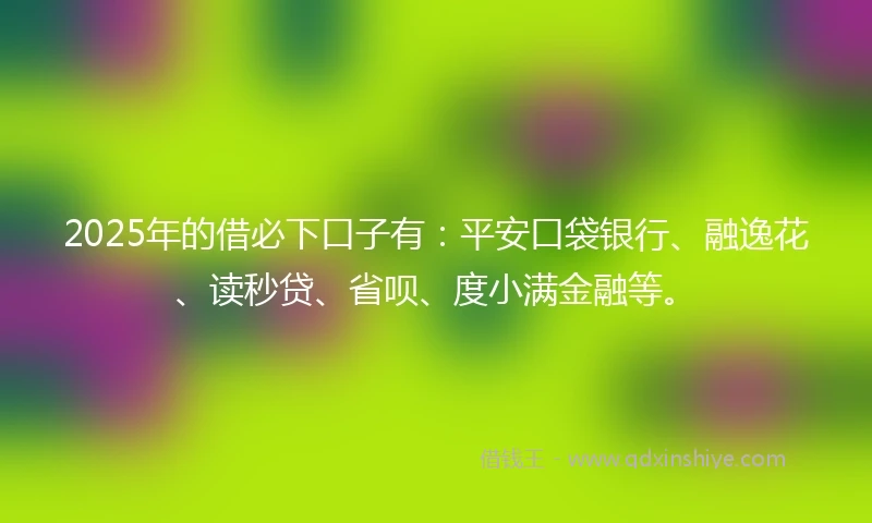 2025年的借必下口子有：平安口袋银行、融逸花、读秒贷、省呗、度小满金融等。