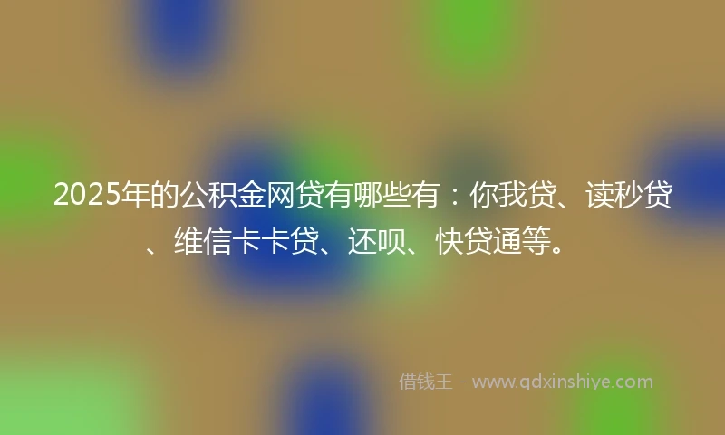2025年的公积金网贷有哪些有：你我贷、读秒贷、维信卡卡贷、还呗、快贷通等。