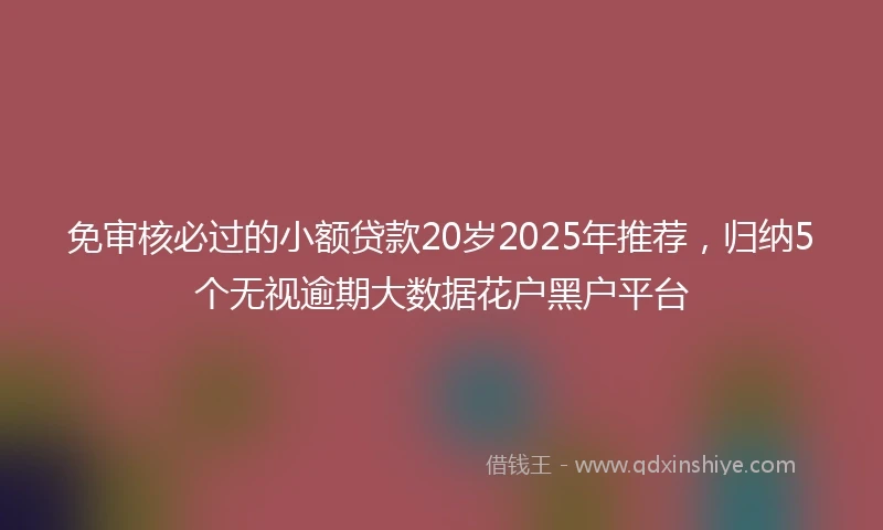 免审核必过的小额贷款20岁2025年推荐，归纳5个无视逾期大数据花户黑户平台