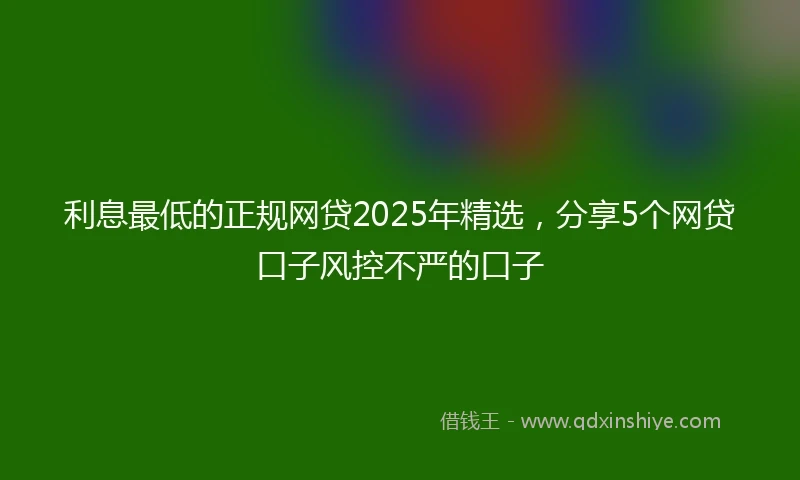 利息最低的正规网贷2025年精选，分享5个网贷口子风控不严的口子