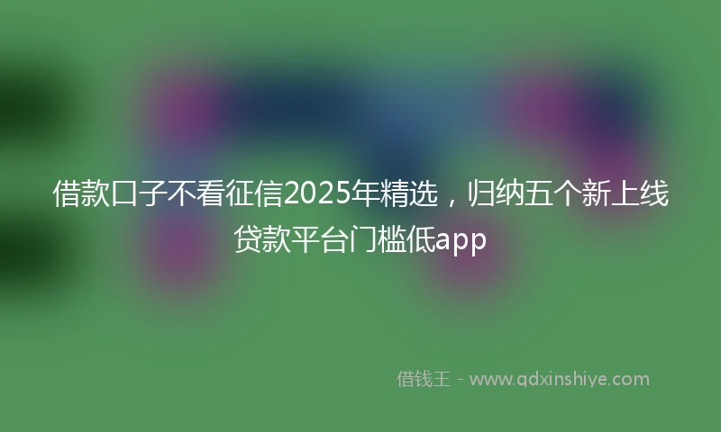 借款口子不看征信2025年精选，归纳五个新上线贷款平台门槛低app