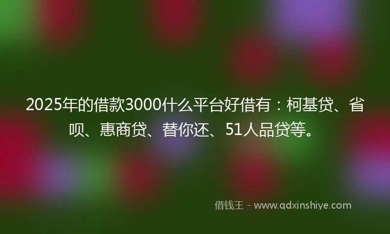 2025年的借款3000什么平台好借有：柯基贷、省呗、惠商贷、替你还、51人品贷等。