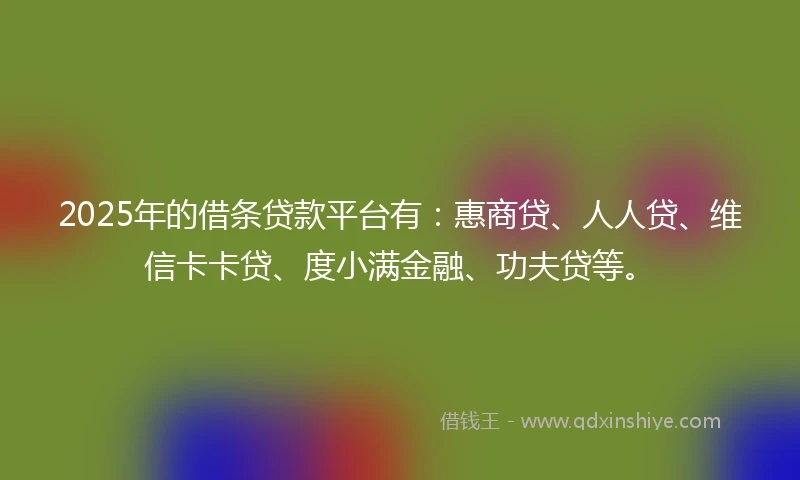 2025年的借条贷款平台有：惠商贷、人人贷、维信卡卡贷、度小满金融、功夫贷等。