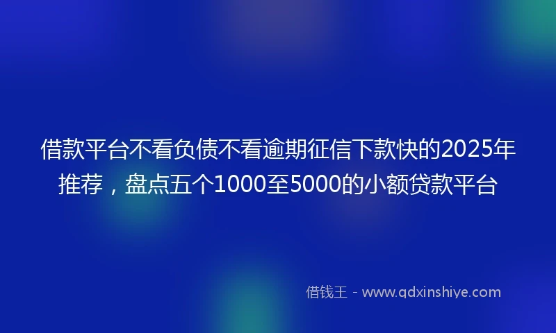 借款平台不看负债不看逾期征信下款快的2025年推荐，盘点五个1000至5000的小额贷款平台