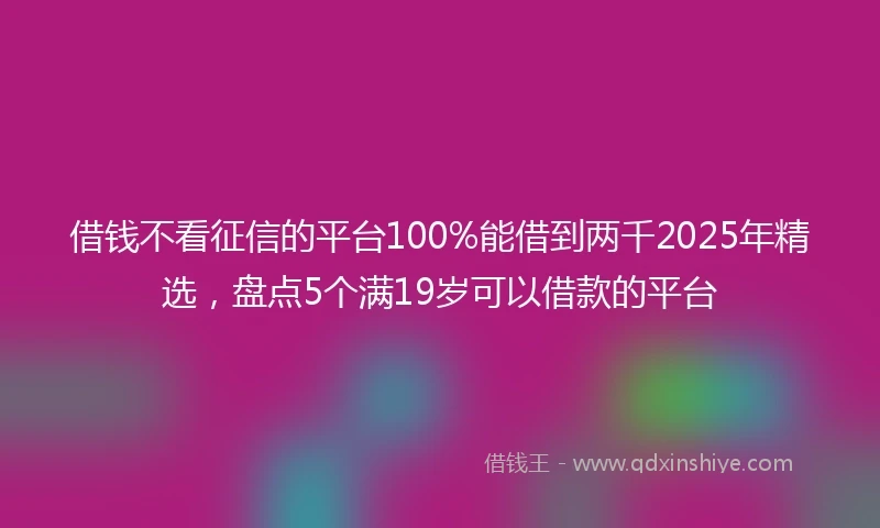 借钱不看征信的平台100%能借到两千2025年精选，盘点5个满19岁可以借款的平台