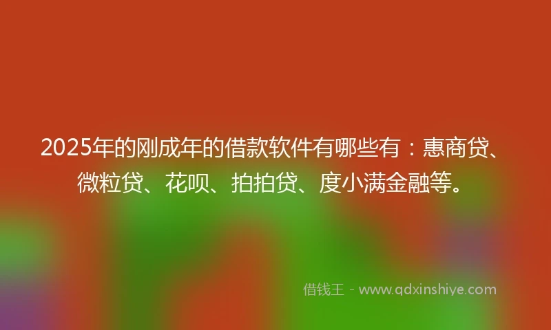 2025年的刚成年的借款软件有哪些有：惠商贷、微粒贷、花呗、拍拍贷、度小满金融等。