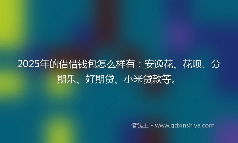 2025年的借借钱包怎么样有：安逸花、花呗、分期乐、好期贷、小米贷款等。