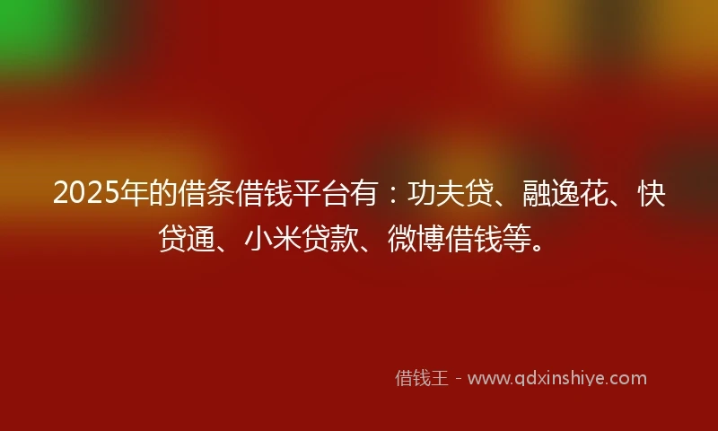2025年的借条借钱平台有：功夫贷、融逸花、快贷通、小米贷款、微博借钱等。
