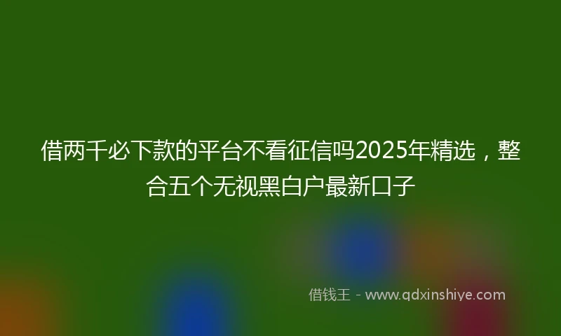 借两千必下款的平台不看征信吗2025年精选，整合五个无视黑白户最新口子