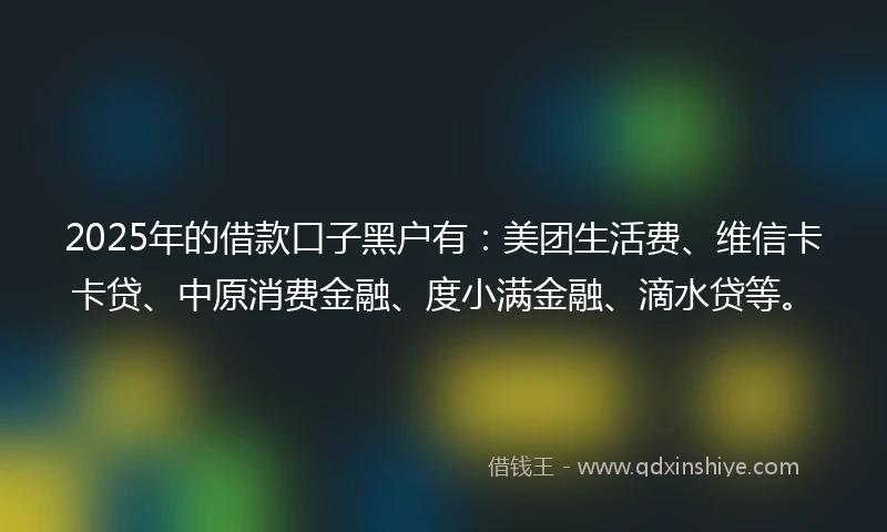 2025年的借款口子黑户有：美团生活费、维信卡卡贷、中原消费金融、度小满金融、滴水贷等。