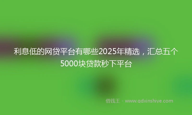 利息低的网贷平台有哪些2025年精选，汇总五个5000块贷款秒下平台